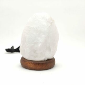 lampe de sel de l'himalaya 7 chakra