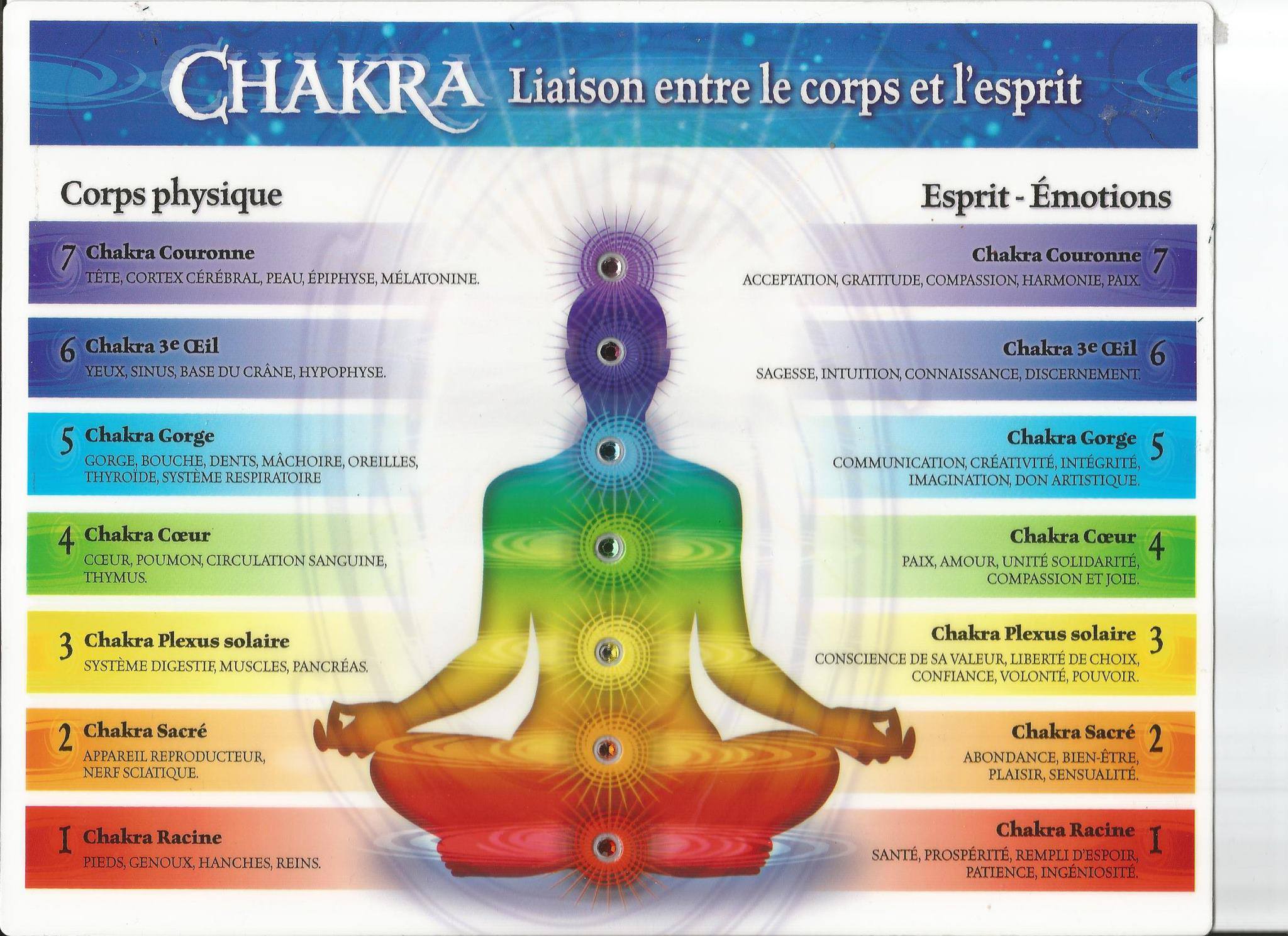 Les 7 Chakras Tout Savoir En Moins De 5 Minutes