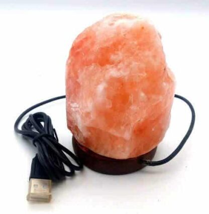 Mini lampe de sel de l'Himalaya USB 1kg -