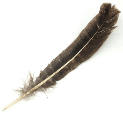 Plume de Chaman